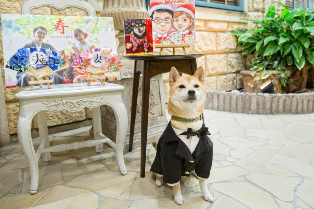 Pet×Wedding  Hirokazu ＆ Akiko