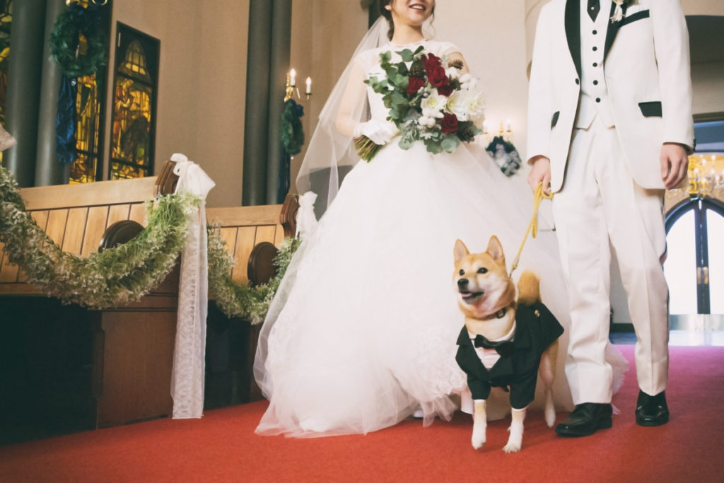 Pet×Wedding  Hirokazu ＆ Akiko