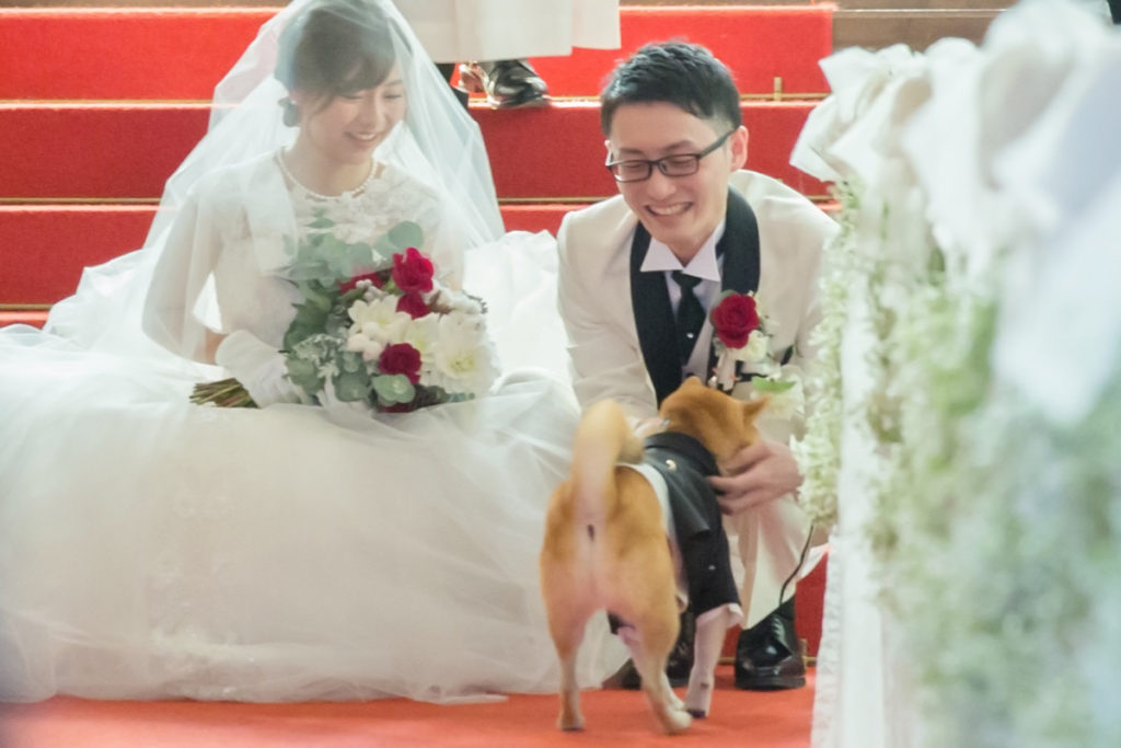 Pet×Wedding  Hirokazu ＆ Akiko