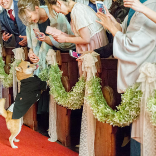 Pet×Wedding  Hirokazu ＆ Akiko