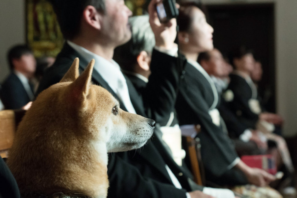 Pet×Wedding  Hirokazu ＆ Akiko