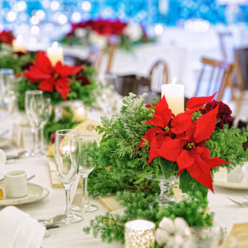 Pet×Wedding  Hirokazu ＆ Akiko