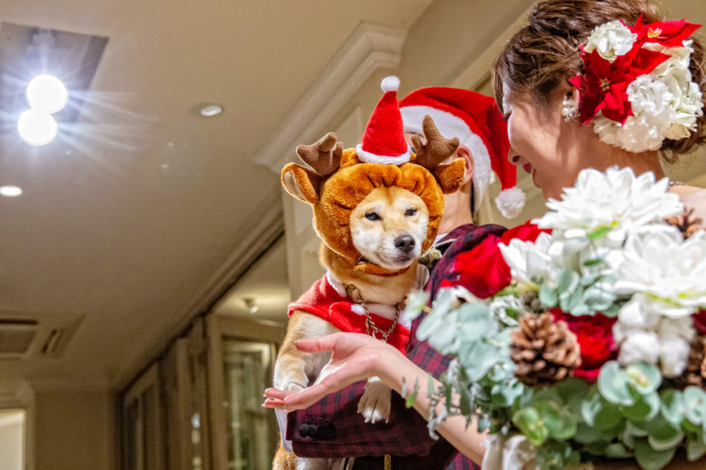 Pet×Wedding  Hirokazu ＆ Akiko