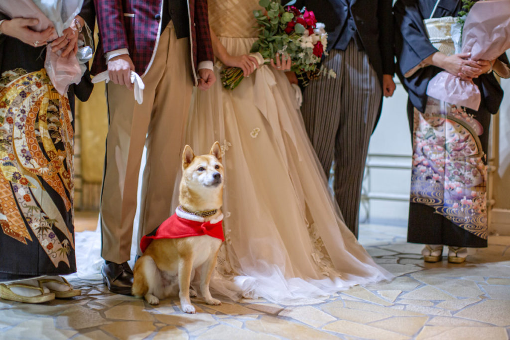 Pet×Wedding  Hirokazu ＆ Akiko